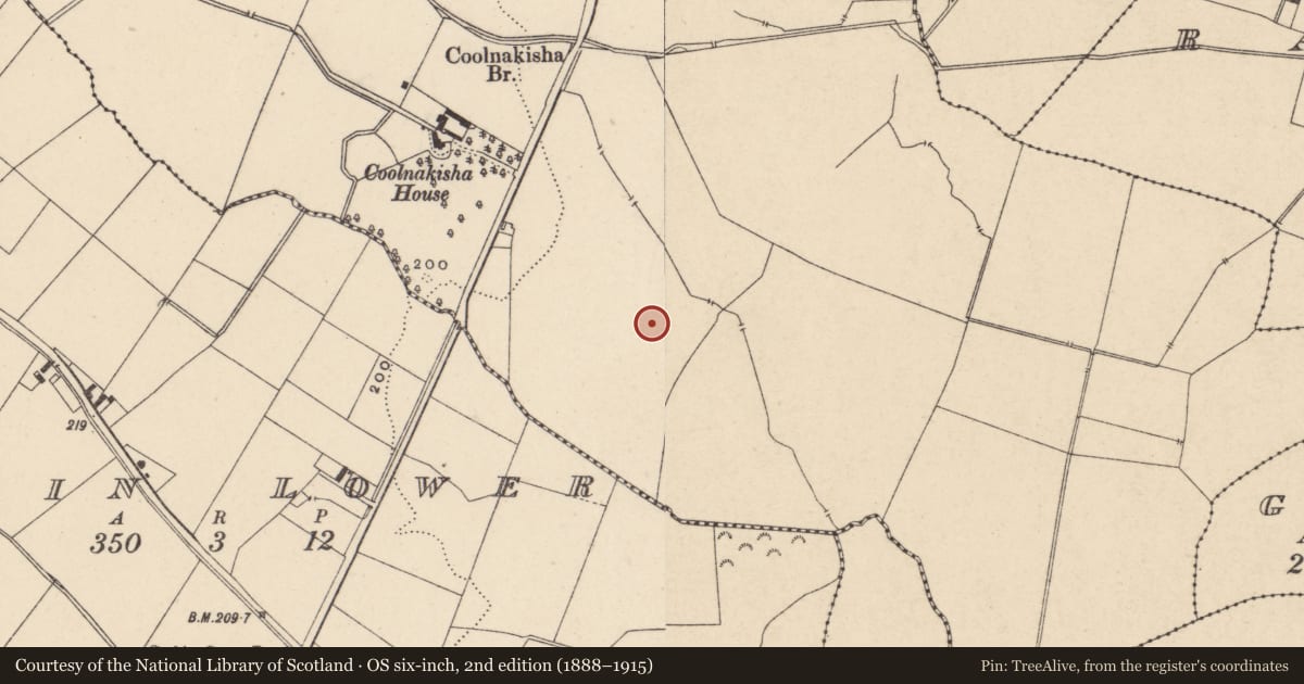 Ordnance Survey six-inch map, 2nd edition (1888–1915) covering the location of Structure, Coolnakisha, County Carlow, with a pin at the register's coordinates