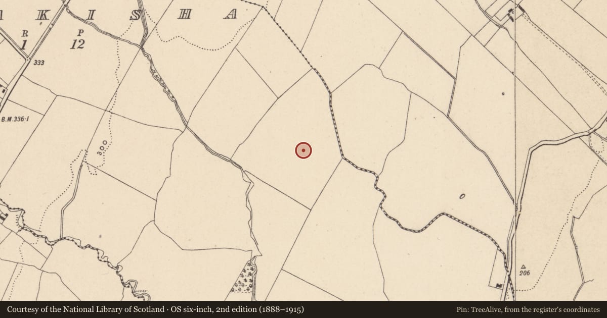 Ordnance Survey six-inch map, 2nd edition (1888–1915) covering the location of Enclosure, Coolnakisha, County Carlow, with a pin at the register's coordinates
