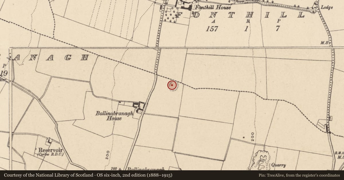Ordnance Survey six-inch map, 2nd edition (1888–1915) covering the location of Ringfort - rath, Ballinabranagh, County Carlow, with a pin at the register's coordinates