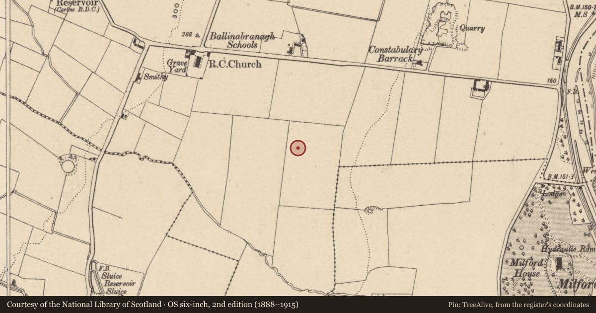 Ordnance Survey six-inch map, 2nd edition (1888–1915) covering the location of Excavation - miscellaneous, Ballinabranagh, County Carlow, with a pin at the register's coordinates