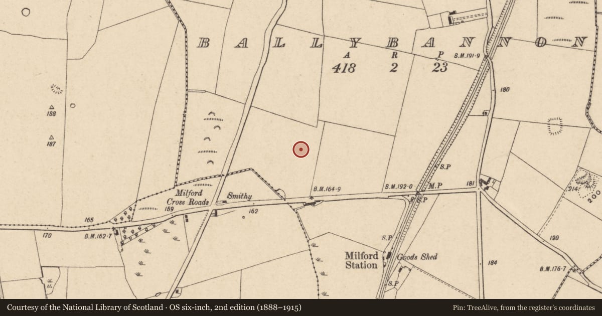 Ordnance Survey six-inch map, 2nd edition (1888–1915) covering the location of Enclosure, Ballybannon, County Carlow, with a pin at the register's coordinates