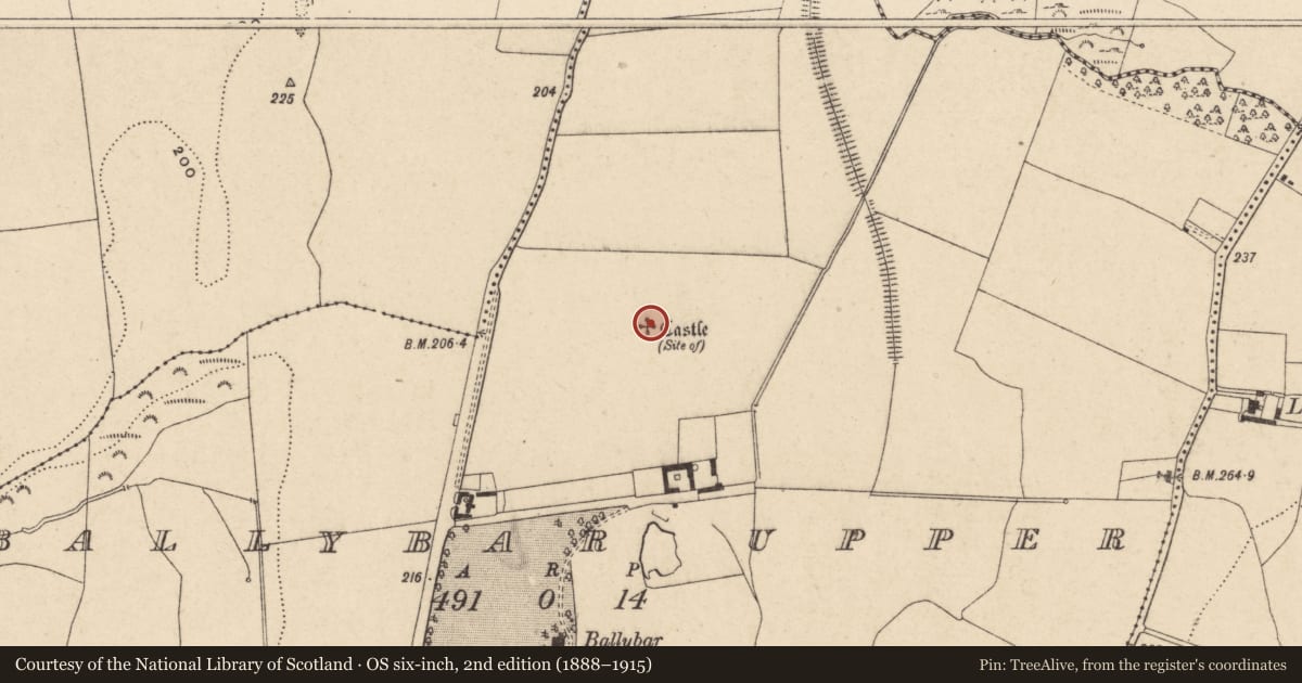 Ordnance Survey six-inch map, 2nd edition (1888–1915) covering the location of Castle - unclassified, Ballybar Upper, County Carlow, with a pin at the register's coordinates