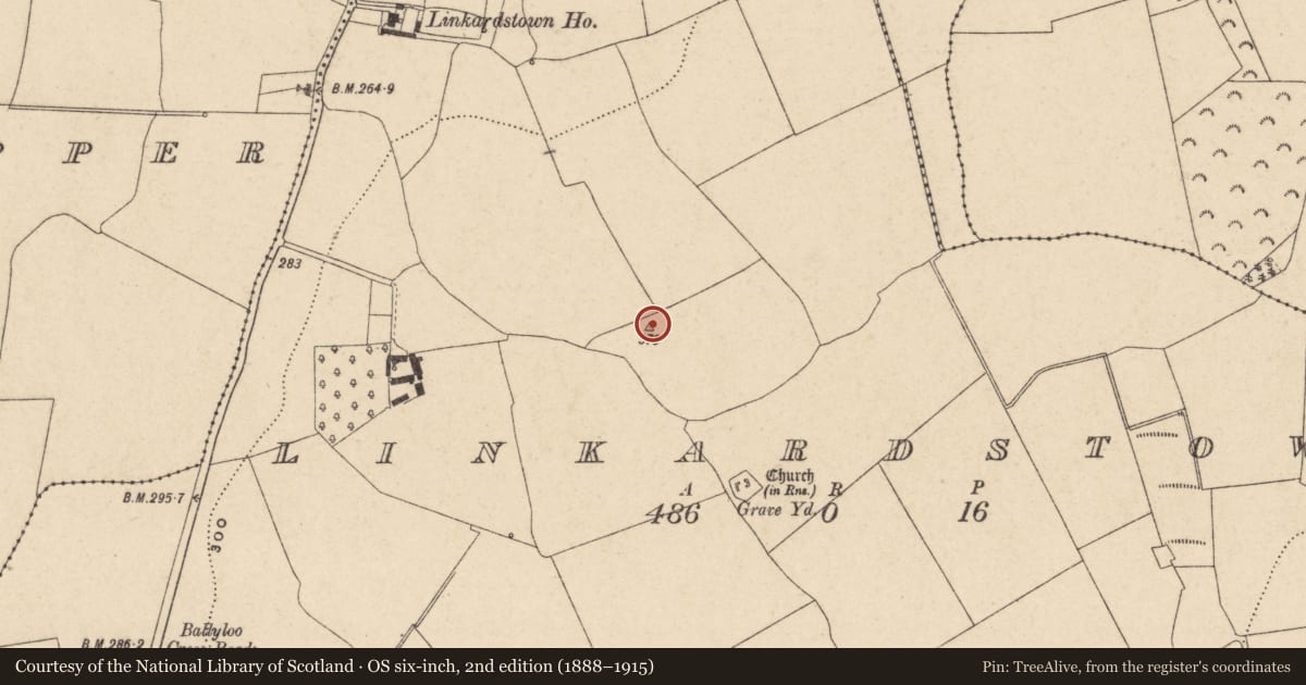Ordnance Survey six-inch map, 2nd edition (1888–1915) covering the location of Linkardstown burial, County Carlow, with a pin at the register's coordinates