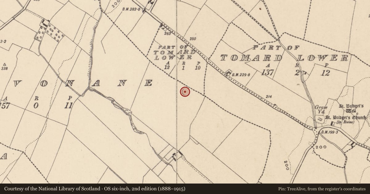 Ordnance Survey six-inch map, 2nd edition (1888–1915) covering the location of Ringfort - rath, Cranavonane, County Carlow, with a pin at the register's coordinates