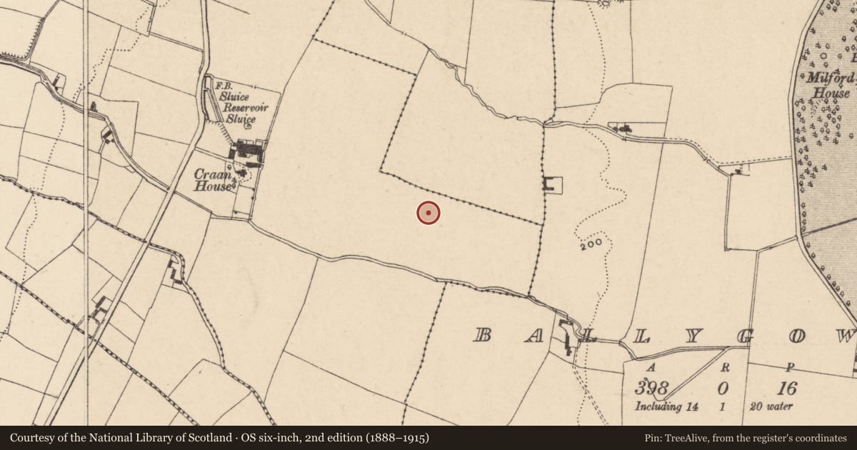 Ordnance Survey six-inch map, 2nd edition (1888–1915) covering the location of Metalworking site, Craanlusky, County Carlow, with a pin at the register's coordinates