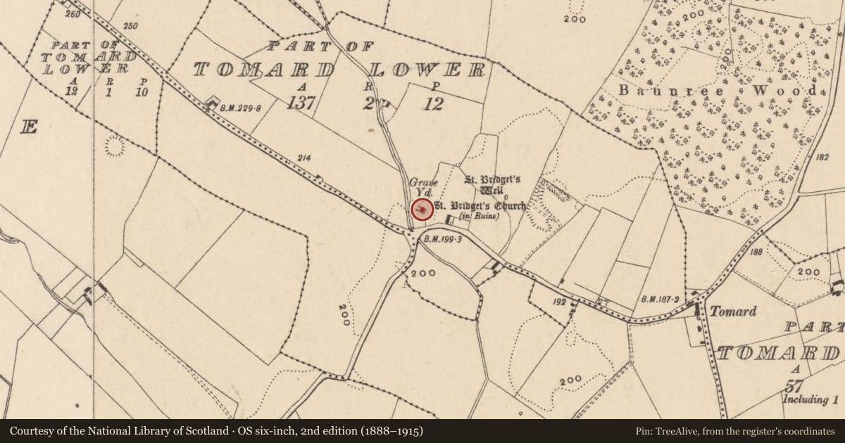 Ordnance Survey six-inch map, 2nd edition (1888–1915) covering the location of Graveyard, Tomard Lower (3 Detached portions), County Carlow, with a pin at the register's coordinates