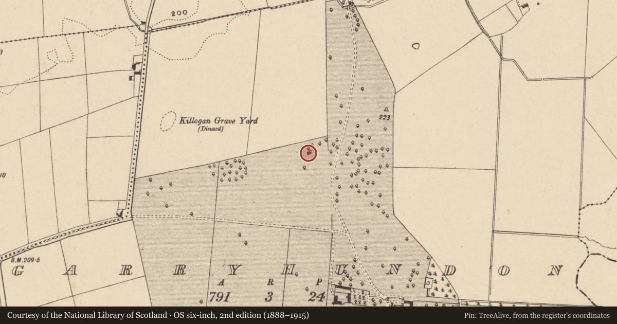 Ordnance Survey six-inch map, 2nd edition (1888–1915) covering the location of Enclosure, Garryhundon, County Carlow, with a pin at the register's coordinates