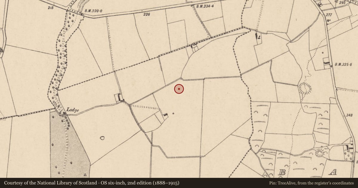 Ordnance Survey six-inch map, 2nd edition (1888–1915) covering the location of Enclosure, Garryhundon, County Carlow, with a pin at the register's coordinates