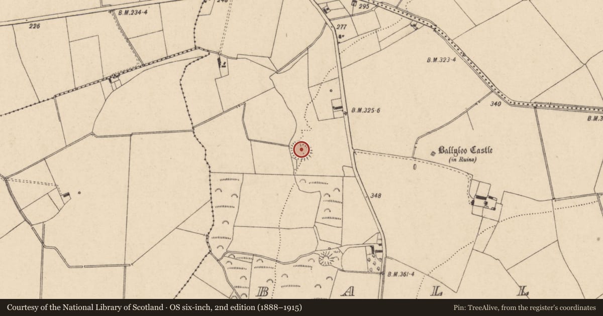 Ordnance Survey six-inch map, 2nd edition (1888–1915) covering the location of Ringfort - rath, Ballyloo, County Carlow, with a pin at the register's coordinates