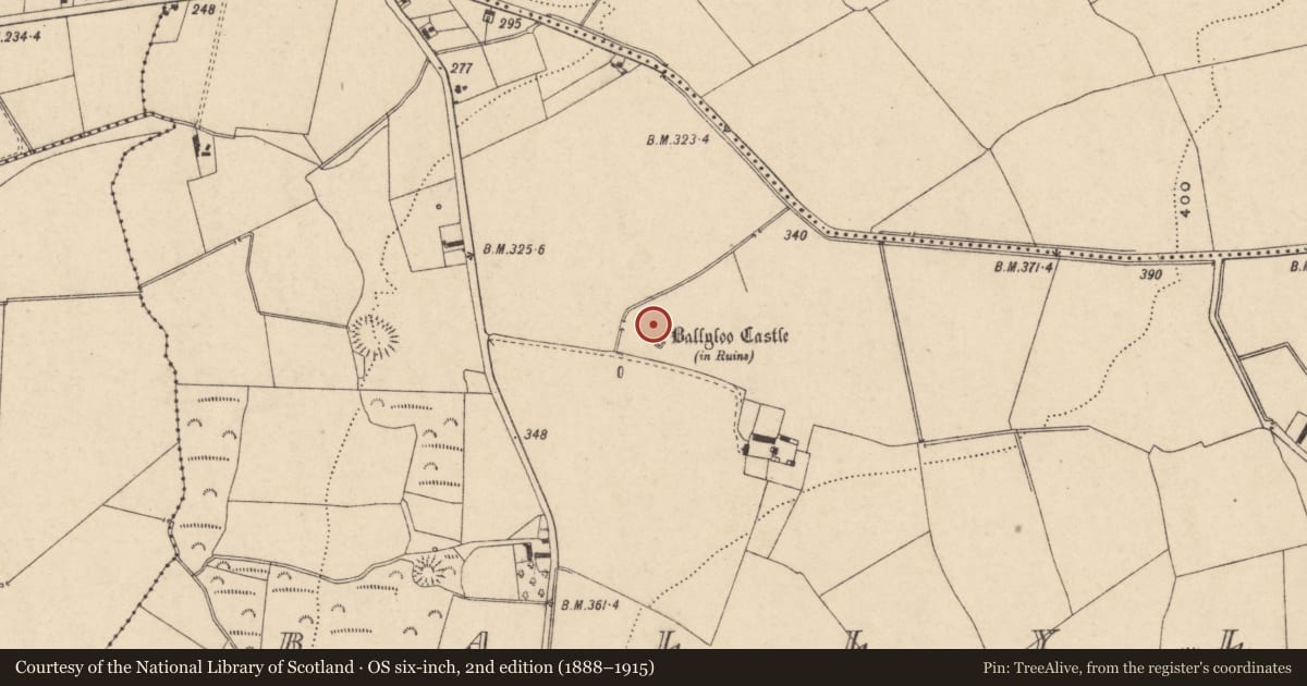 Ordnance Survey six-inch map, 2nd edition (1888–1915) covering the location of Bawn, Ballyloo, County Carlow, with a pin at the register's coordinates