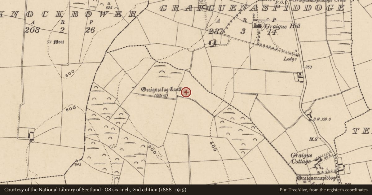 Ordnance Survey six-inch map, 2nd edition (1888–1915) covering the location of Castle - unclassified, Graiguealug, County Carlow, with a pin at the register's coordinates