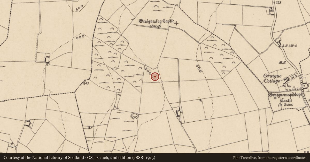 Ordnance Survey six-inch map, 2nd edition (1888–1915) covering the location of Enclosure, Graiguealug, County Carlow, with a pin at the register's coordinates