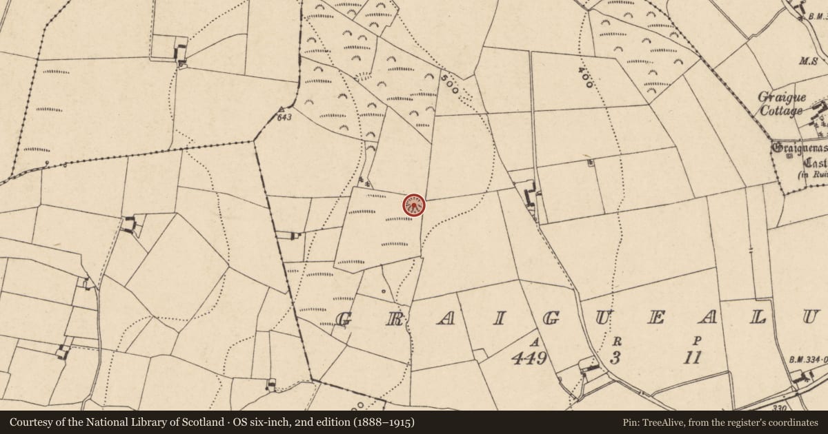 Ordnance Survey six-inch map, 2nd edition (1888–1915) covering the location of Earthwork, Graiguealug, County Carlow, with a pin at the register's coordinates