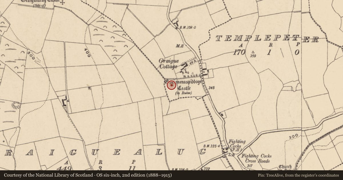 Ordnance Survey six-inch map, 2nd edition (1888–1915) covering the location of Castle - tower house, Graiguenaspiddoge, County Carlow, with a pin at the register's coordinates