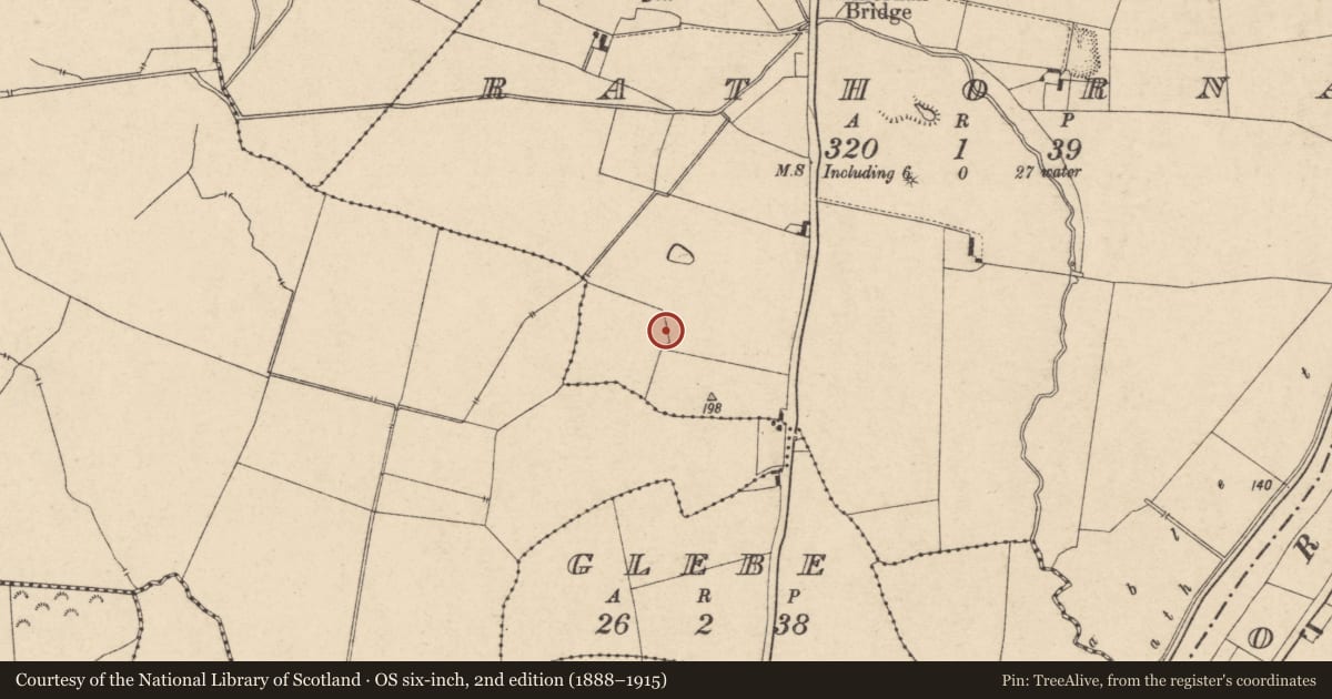 Ordnance Survey six-inch map, 2nd edition (1888–1915) covering the location of Enclosure, Rathornan, County Carlow, with a pin at the register's coordinates