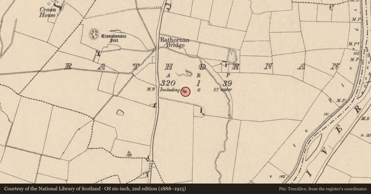 Ordnance Survey six-inch map, 2nd edition (1888–1915) covering the location of Mound, Rathornan, County Carlow, with a pin at the register's coordinates