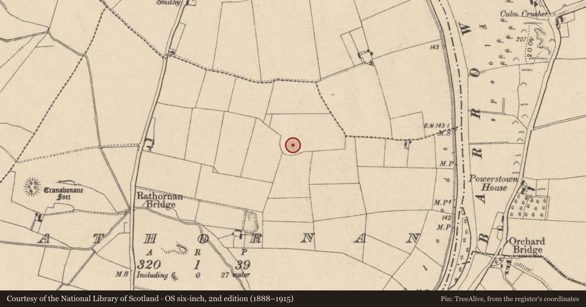 Ordnance Survey six-inch map, 2nd edition (1888–1915) covering the location of Barrow - ring-barrow, Rathornan, County Carlow, with a pin at the register's coordinates