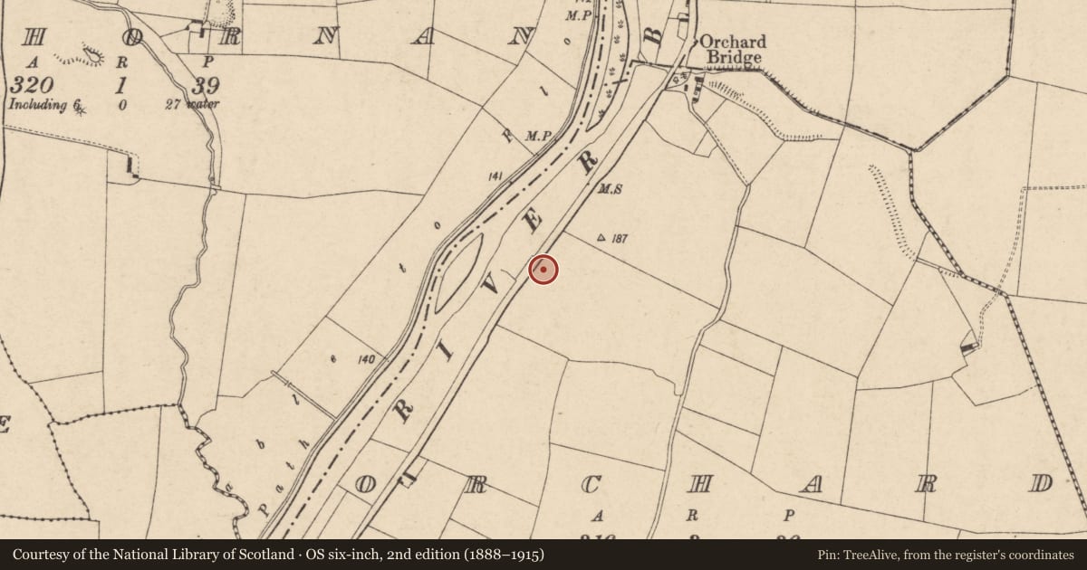 Ordnance Survey six-inch map, 2nd edition (1888–1915) covering the location of Cross - High cross (present location), Orchard, County Carlow, with a pin at the register's coordinates