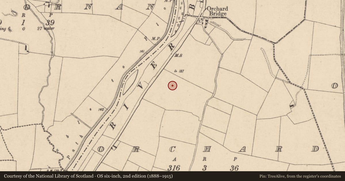 Ordnance Survey six-inch map, 2nd edition (1888–1915) covering the location of Church, Orchard, County Carlow, with a pin at the register's coordinates