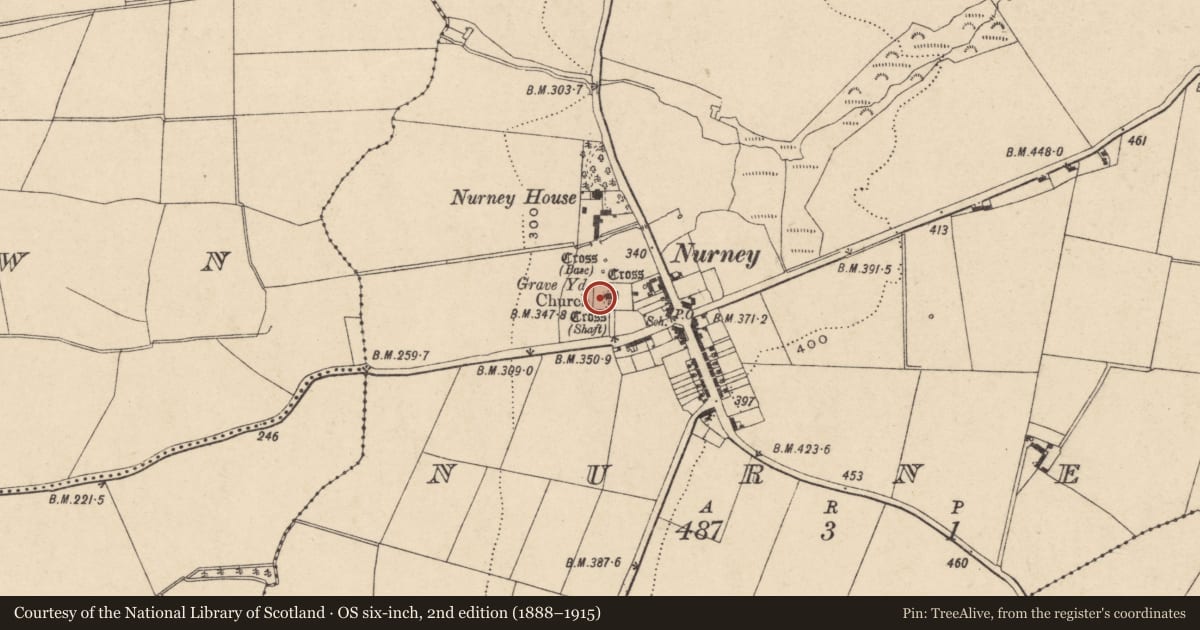 Ordnance Survey six-inch map, 2nd edition (1888–1915) covering the location of Graveyard, Nurney, County Carlow, with a pin at the register's coordinates