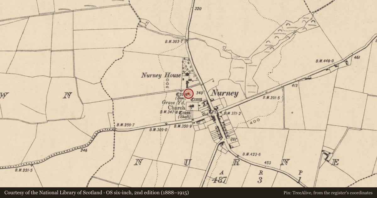Ordnance Survey six-inch map, 2nd edition (1888–1915) covering the location of Cross, Nurney, County Carlow, with a pin at the register's coordinates