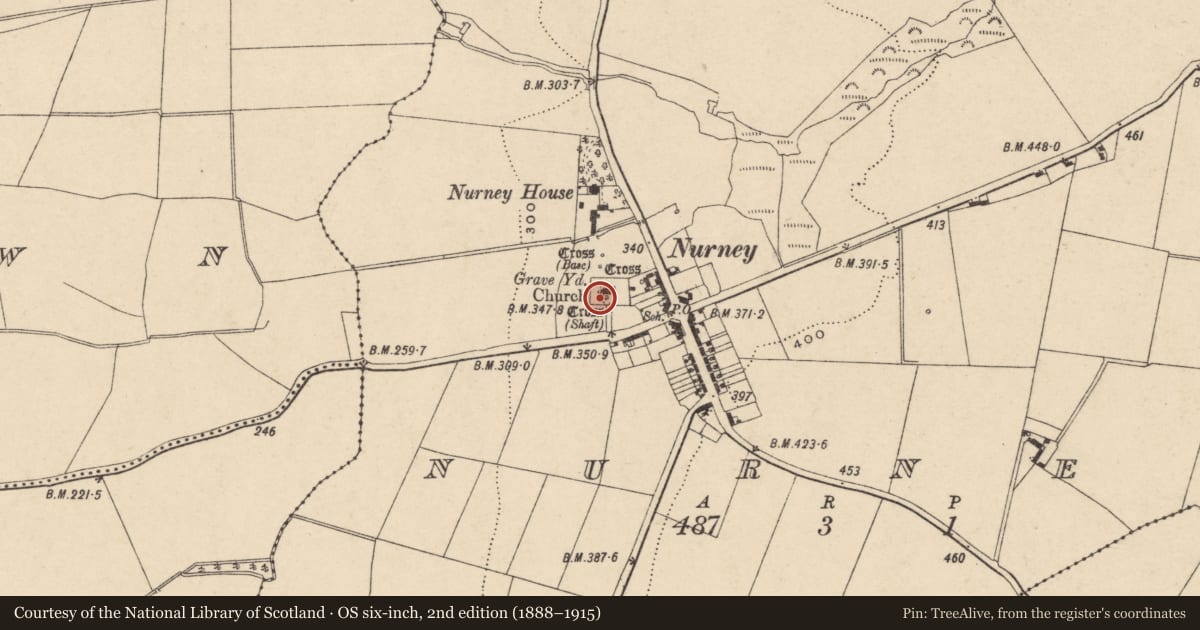 Ordnance Survey six-inch map, 2nd edition (1888–1915) covering the location of Cross, Nurney, County Carlow, with a pin at the register's coordinates