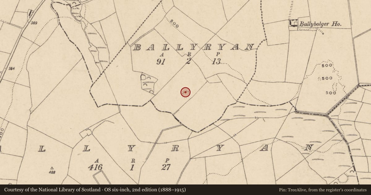 Ordnance Survey six-inch map, 2nd edition (1888–1915) covering the location of Concentric enclosure, Ballyryan, County Carlow, with a pin at the register's coordinates