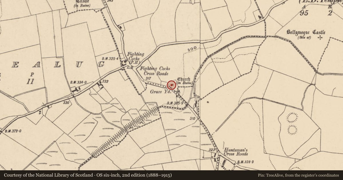 Ordnance Survey six-inch map, 2nd edition (1888–1915) covering the location of Church, Templepeter, County Carlow, with a pin at the register's coordinates