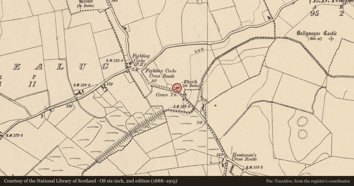 Ordnance Survey six-inch map, 2nd edition (1888–1915) covering the location of Graveyard, Templepeter, County Carlow, with a pin at the register's coordinates