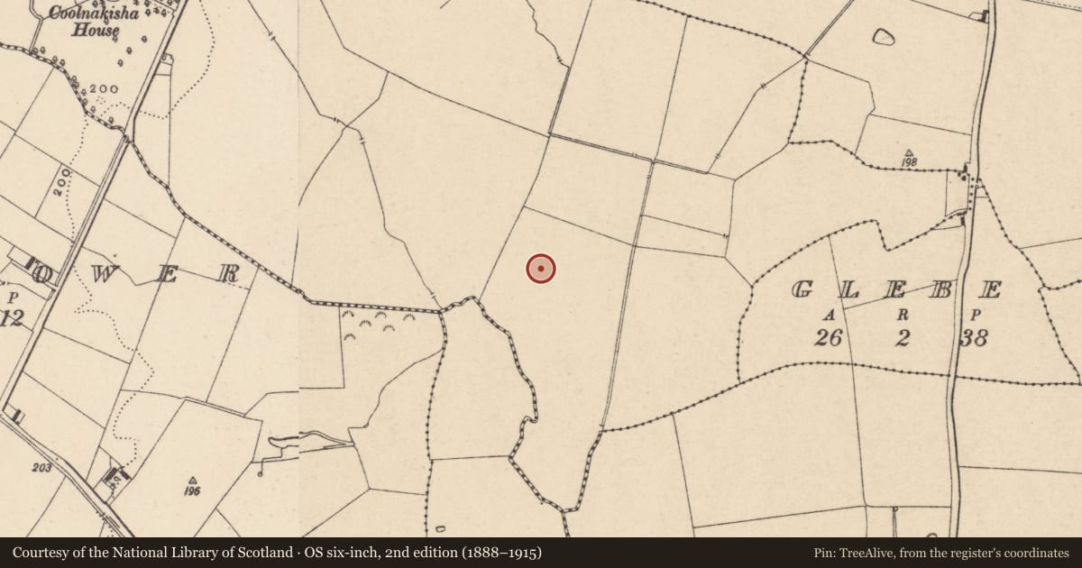Ordnance Survey six-inch map, 2nd edition (1888–1915) covering the location of Earthwork, Coolnakisha, County Carlow, with a pin at the register's coordinates