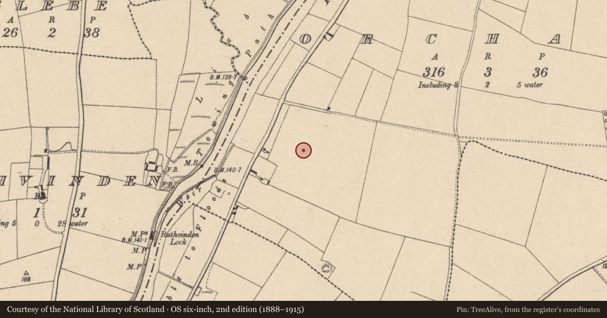 Ordnance Survey six-inch map, 2nd edition (1888–1915) covering the location of Enclosure, Orchard, County Carlow, with a pin at the register's coordinates