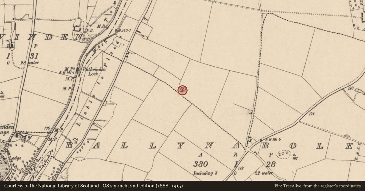 Ordnance Survey six-inch map, 2nd edition (1888–1915) covering the location of Enclosure, Orchard, County Carlow, with a pin at the register's coordinates