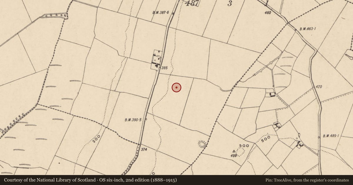 Ordnance Survey six-inch map, 2nd edition (1888–1915) covering the location of Enclosure, Nurney, County Carlow, with a pin at the register's coordinates