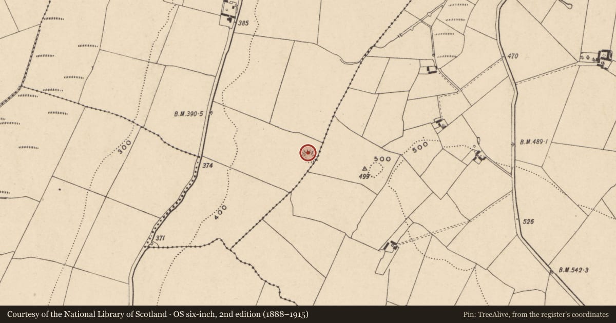Ordnance Survey six-inch map, 2nd edition (1888–1915) covering the location of Ringfort - rath, Nurney, County Carlow, with a pin at the register's coordinates