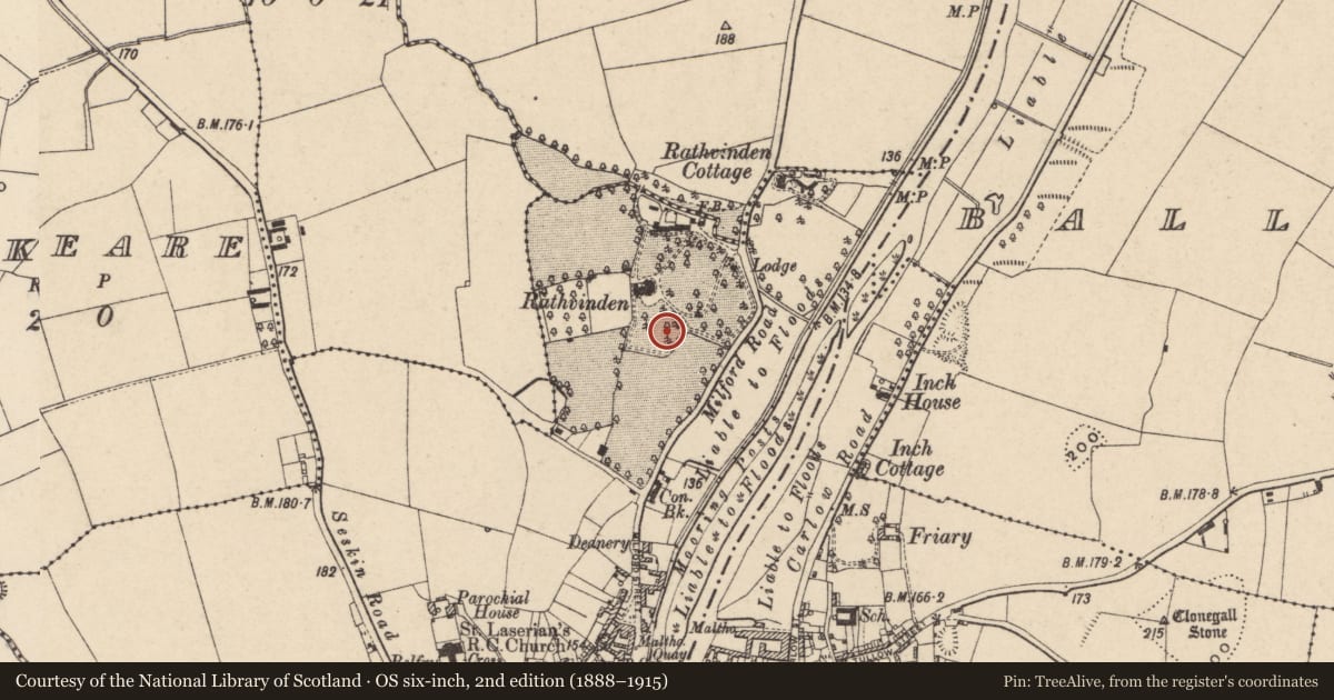 Ordnance Survey six-inch map, 2nd edition (1888–1915) covering the location of Enclosure, Ballyknockan, County Carlow, with a pin at the register's coordinates