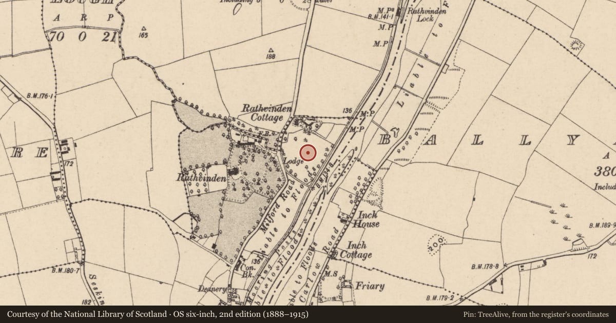Ordnance Survey six-inch map, 2nd edition (1888–1915) covering the location of Designed landscape feature, Ballyknockan, County Carlow, with a pin at the register's coordinates