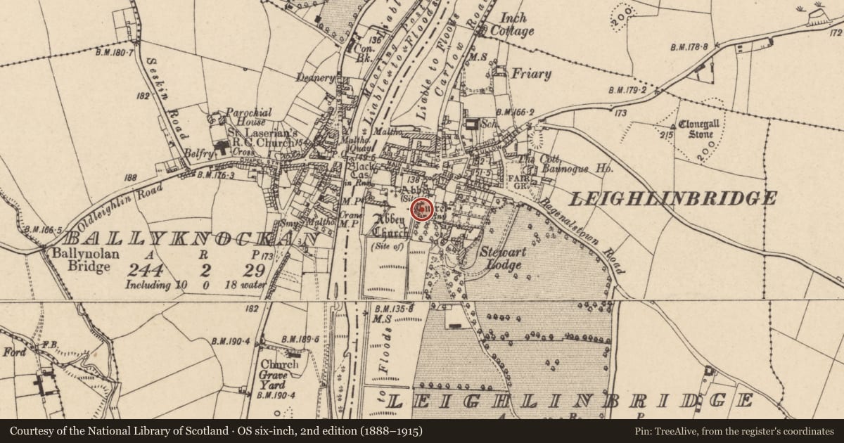 Ordnance Survey six-inch map, 2nd edition (1888–1915) covering the location of Town defences, Ballyknockan, Leighlinbridge, County Carlow, with a pin at the register's coordinates