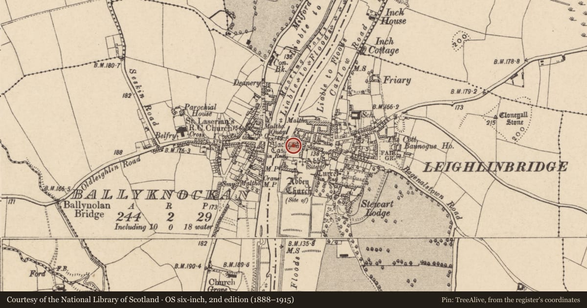 Ordnance Survey six-inch map, 2nd edition (1888–1915) covering the location of Castle - tower house, Leighlinbridge, County Carlow, with a pin at the register's coordinates