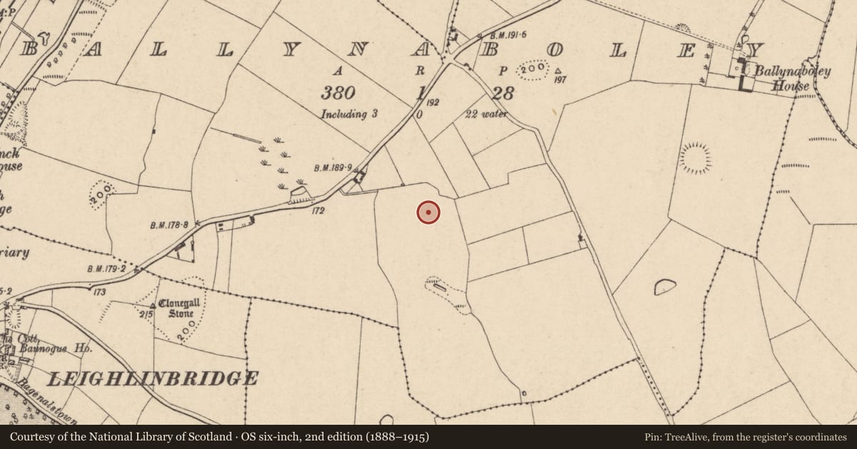 Ordnance Survey six-inch map, 2nd edition (1888–1915) covering the location of Enclosure, Ballynaboley, County Carlow, with a pin at the register's coordinates