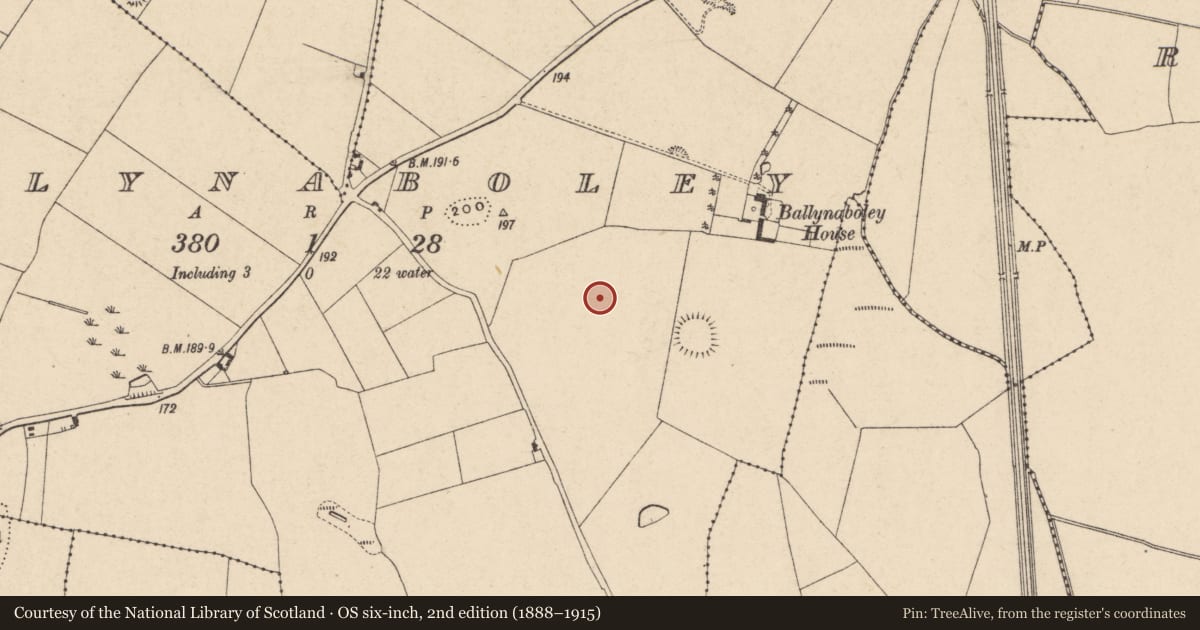 Ordnance Survey six-inch map, 2nd edition (1888–1915) covering the location of Enclosure, Ballynaboley, County Carlow, with a pin at the register's coordinates