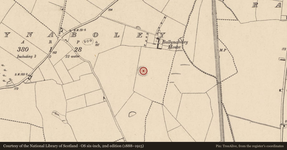 Ordnance Survey six-inch map, 2nd edition (1888–1915) covering the location of Enclosure, Ballynaboley, County Carlow, with a pin at the register's coordinates