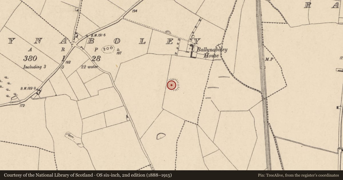 Ordnance Survey six-inch map, 2nd edition (1888–1915) covering the location of Hut site, Ballynaboley, County Carlow, with a pin at the register's coordinates