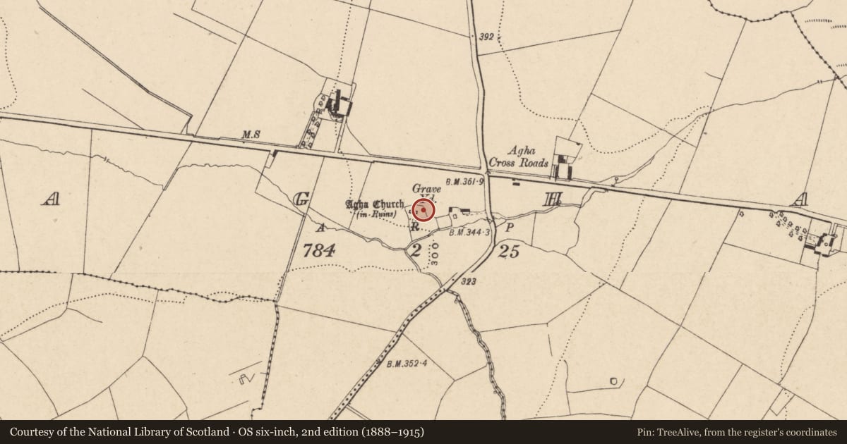 Ordnance Survey six-inch map, 2nd edition (1888–1915) covering the location of Cross, Agha, County Carlow, with a pin at the register's coordinates