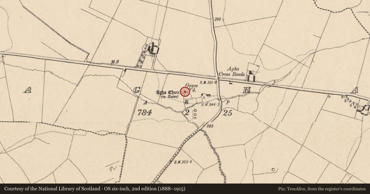 Ordnance Survey six-inch map, 2nd edition (1888–1915) covering the location of Cross, Agha, County Carlow, with a pin at the register's coordinates
