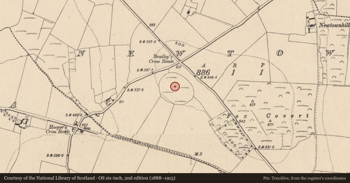 Ordnance Survey six-inch map, 2nd edition (1888–1915) covering the location of Designed landscape - tree-ring, Newtown, County Carlow, with a pin at the register's coordinates