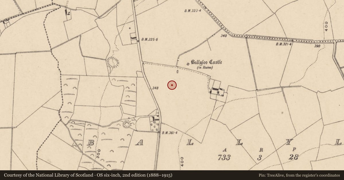 Ordnance Survey six-inch map, 2nd edition (1888–1915) covering the location of Burial ground, Ballyloo, County Carlow, with a pin at the register's coordinates