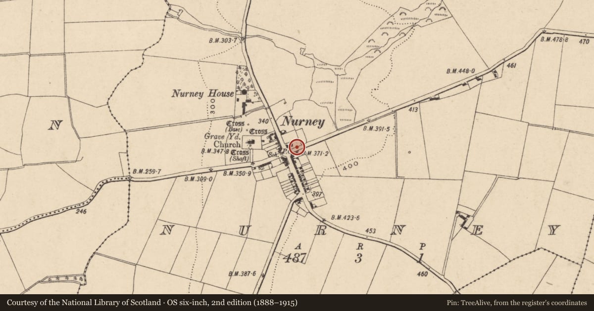 Ordnance Survey six-inch map, 2nd edition (1888–1915) covering the location of Stone head, Nurney, County Carlow, with a pin at the register's coordinates