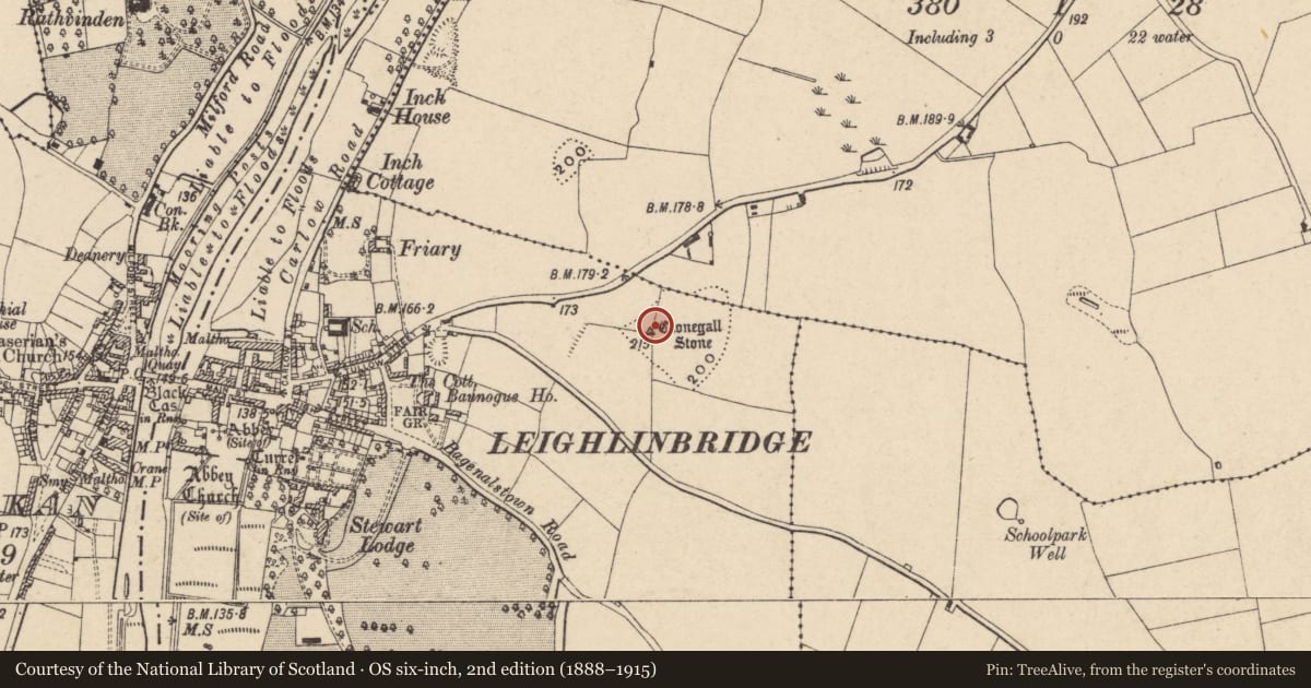 Ordnance Survey six-inch map, 2nd edition (1888–1915) covering the location of Standing stone, Leighlinbridge, County Carlow, with a pin at the register's coordinates