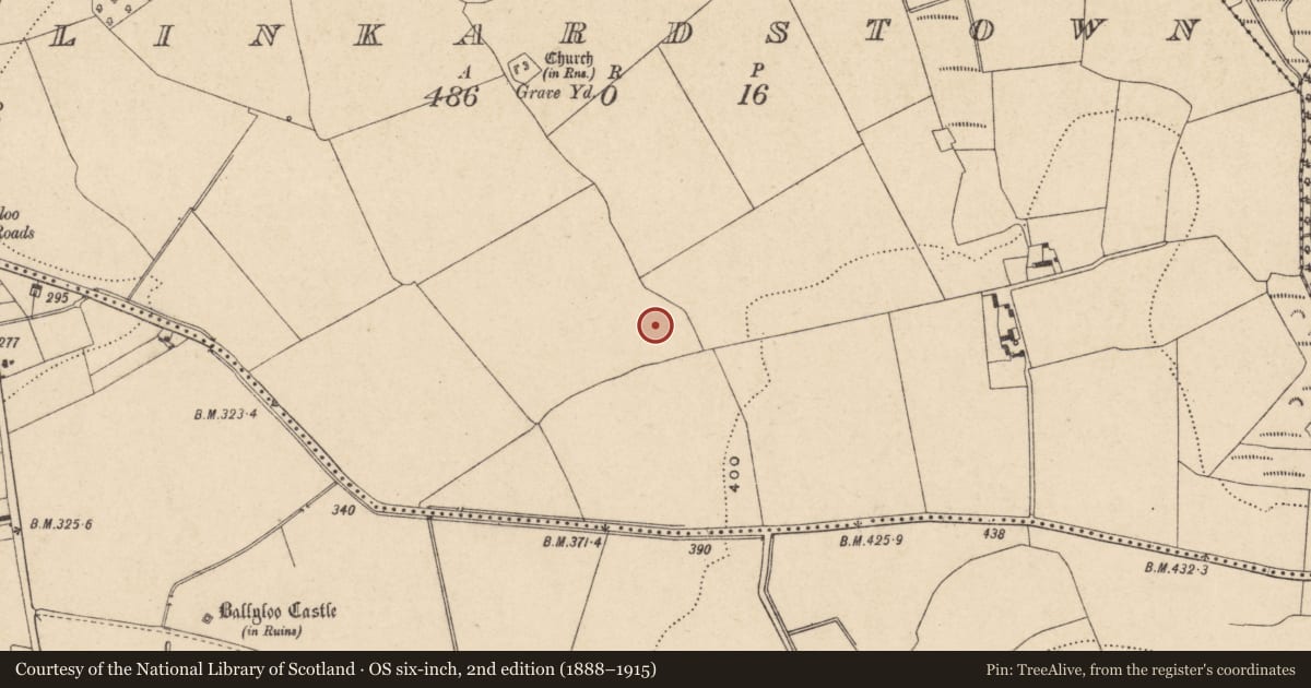 Ordnance Survey six-inch map, 2nd edition (1888–1915) covering the location of Enclosure, Linkardstown, County Carlow, with a pin at the register's coordinates