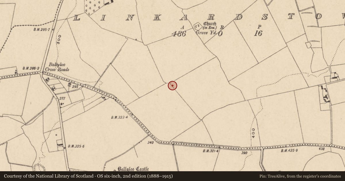 Ordnance Survey six-inch map, 2nd edition (1888–1915) covering the location of Enclosure, Linkardstown, County Carlow, with a pin at the register's coordinates